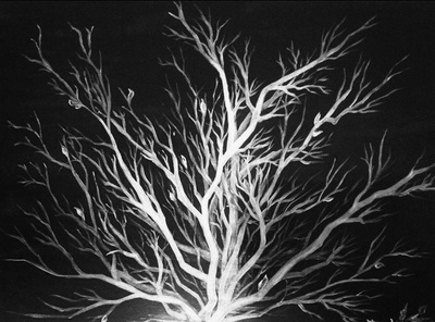 Black and white tree painting by Pam Herrick Prophetic Art.